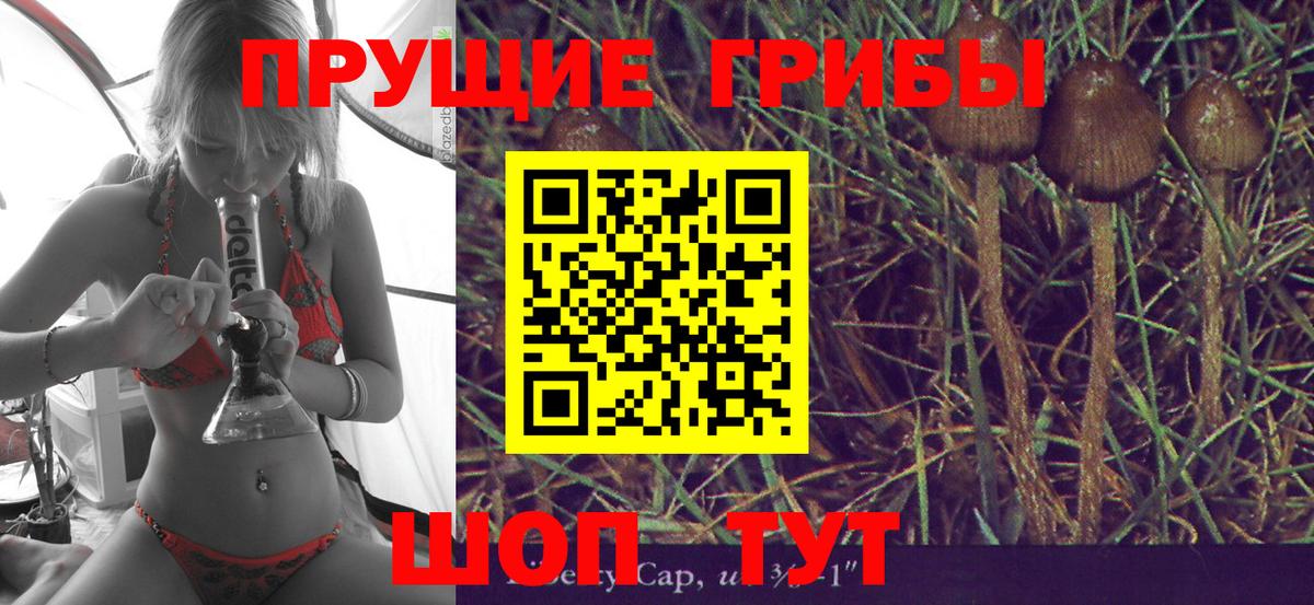 Псилоцибиновые грибы мухоморы Нижневартовск